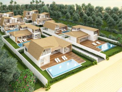 Project Cholok 7
